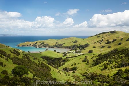 agricultural;agriculture;Coromandel;Coromandel-Peninsula;country;countryside;farm;farming;farmland;farms;field;fields;Kirita-Bay;meadow;meadows;N.I.;N.Z.;New-Zealand;NI;North-Is;North-Is.;North-Island;NZ;paddock;paddocks;pasture;pastures;rural;Waikato