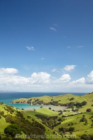 agricultural;agriculture;Coromandel;Coromandel-Peninsula;country;countryside;farm;farming;farmland;farms;field;fields;Kirita-Bay;meadow;meadows;N.I.;N.Z.;New-Zealand;NI;North-Is;North-Is.;North-Island;NZ;paddock;paddocks;pasture;pastures;rural;Waikato