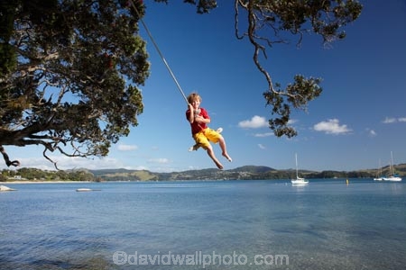7-year-old;7-years-old;8-year-old;8-years-old;boy;boys;child;children;coast;coastal;Coromandel;Coromandel-Peninsula;eight-year-old;eight-years-old;Flaxmill-Bay;fun;happy;joy;kid;kids;kiwi-icon;kiwi-icons;kiwiana;little-boy;little-boys;Maramaratotara-Bat;N.I.;N.Z.;New-Zealand;NI;North-Is;North-Is.;North-Island;NZ;outdoor;outside;people;person;play;playing;Pohutukawa-Tree;Pohutukawa-Trees;rope-swing;rope-swings;seven-year-old;seven-years-old;shore;summer;swing;swinging;swings;Waikato;young-boy;young-boys