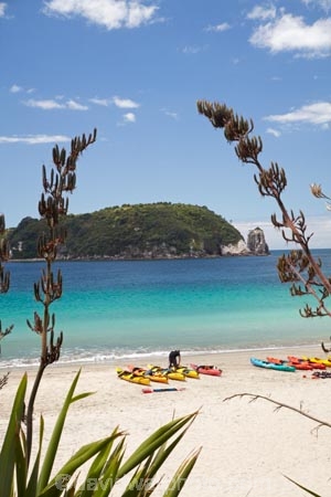 adventure;adventure-tourism;beach;beaches;boat;boats;canoe;canoeing;canoes;coast;coastal;coastline;coastlines;coasts;Coromandel;Coromandel-Peninsula;flax;foreshore;Hahei;Hahei-Beach;kayak;kayaking;kayaks;leisure;N.I.;N.Z.;New-Zealand;NI;North-Is;North-Is.;North-Island;NZ;ocean;recreation;sand;sandy;sea;sea-kayak;sea-kayaking;sea-kayaks;seas;shore;shoreline;shorelines;shores;summer;Te-Tio-Is;Te-Tio-Island;Waikato;water