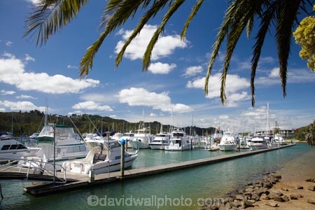 boat;boats;calm;calmness;Coromandel;Coromandel-Peninsula;fishing-boats;harbor;harbors;harbour;harbours;launch;launches;marina;marinas;N.I.;N.Z.;New-Zealand;NI;North-Is;North-Is.;North-Island;NZ;palm;palm-tree;palm-trees;palms;port;ports;sail;sailing;still;stillness;Waikato;Whitianga;Whitianga-Marina;yacht;yachts