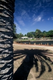 lake;palm;palm-shadow;path;pathway;shadow;tropical;water