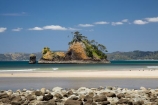 beach;beaches;coast;coastal;coastline;Coromandel;Coromandel-Peninsula;N.I.;N.Z.;New-Zealand;NI;North-Is;North-Is.;North-Island;NZ;ocean;oceans;Pungapunga-Is;Pungapunga-Island;sand;sandy;sea;seas;shore;shoreline;Waikato;Whangapoua