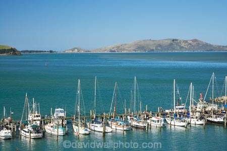boat;boats;Careys-Bay;coast;coastal;coastline;coastlines;coasts;Dunedin;fishing-boat;fishing-boats;harbor;harbors;harbour;harbours;hull;hulls;jetties;jetty;launch;launches;marina;marinas;mast;masts;N.Z.;New-Zealand;NZ;ocean;oceans;Otago;Otago-Harbour;Otago-Peninsula;pier;piers;port;ports;S.I.;sail;sailing;sea;shore;shoreline;shorelines;shores;SI;South-Is.;South-Island;water;waterside;wharf;wharfes;wharves;yacht;yachts