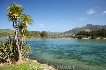 Cabbage-Tree;Cabbage-Trees;coast;coastal;coastline;coastlines;coasts;Cordyline-australis;Dunedin;estuaries;estuary;foreshore;inlet;inlets;lagoon;lagoons;N.Z.;New-Zealand;NZ;ocean;Otago;purakanui;Purakanui-Inlet;Purakaunui;Purakaunui-Inlet;sea;shore;shoreline;shorelines;shores;South-Is;South-Is.;South-Island;tidal;tide;water