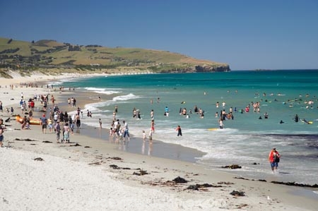 beach;beaches;coast;coastal;coastline;crowd;crowds;Dunedin;fun;hot;leisure;N.Z.;New-Zealand;NZ;ocean;oceans;Otago;people;play;S.I.;Saint-Clear-Beach;sand;sandy;sea;seas;shore;shoreline;SI;South-Is.;South-Island;St-Clair-Beach;St.-Clair-Beach;summer;summertime;swimmers;swimming