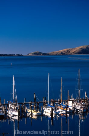 yacht;yachts;boat;boats;dock;moored;sea;calm;berth;harbour;haven;wharf;pacific;otago-harbour;dunedin