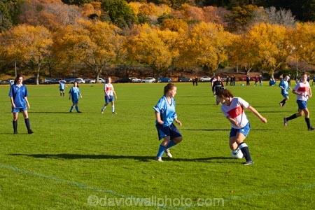 autuminal;autumn;autumn-colour;autumn-colours;autumnal;color;colors;colour;colours;deciduous;Dunedin;fall;female;fooball;game;games;girl;girls;Girls-football;girls-soccer;green;leaf;leaves;N.Z.;New-Zealand;NZ;Otago;Oval;people;person;play;playing;S.I.;season;seasonal;seasons;SI;soccer;South-Is;South-Island;sport;sports;Sth-Is;teenager;teenagers;The-Oval;tree;trees;women;yellow