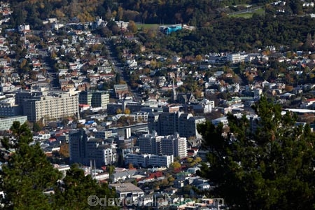 Dunedin;Dunedin-Hospital;Dunedin-Town-Belt;London-St;London-Street;N.Z.;New-Zealand;NZ;Otago;Otago-University;S.I.;SI;South-Is;South-Island;Sth-Is;Town-Belt;University-of-Otago