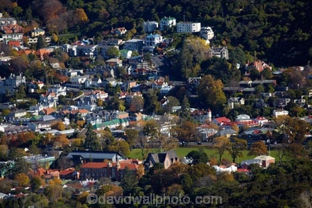 autuminal;autumn;autumn-colour;autumn-colours;autumnal;color;colors;colour;colours;communities;community;deciduous;Dunedin;Dunedin-Town-Belt;fall;home;homes;house;houses;housing;N.Z.;neigborhood;neigbourhood;New-Zealand;North-Dunedin;NZ;Otago;Otago-University;residences;residential;residential-housing;S.I.;season;seasonal;seasons;SI;South-Is;South-Island;Sth-Is;street;streets;student-flats;suburb;suburban;suburbia;suburbs;Town-Belt;tree;trees;University-of-Otago;urban