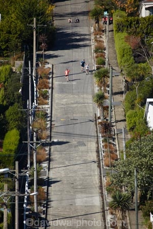 Baldwin-St;Baldwin-Street;Dunedin;hill;hills;N.E.V.;N.Z.;NEV;New-Zealand;North-Dunedin;North-East-Valley;NZ;Otago;S.I.;SI;slope;slopes;South-Is;South-Is.;South-Island;steep;Sth-Is;the-steepest-street-in-the-world;worlds-steepest-street;worlds-steepest-street