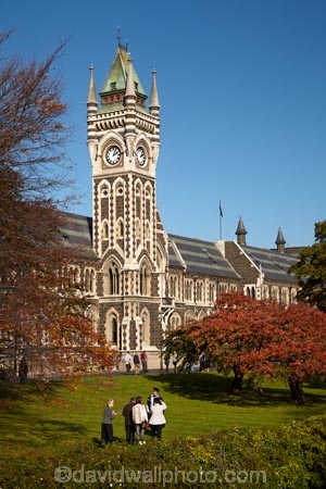 autuminal;autumn;autumn-colour;autumn-colours;autumnal;building;buildings;clock-tower;clock_tower;color;colors;colour;colours;deciduous;Dunedin;education;fall;heritage;historic;historic-building;historic-buildings;historical;historical-building;historical-buildings;history;leaf;leaves;N.Z.;New-Zealand;North-Dunedin;NZ;oak-leaf;oak-leaves;oak-tree;oak-trees;oaks;old;Otago;Otago-University;pin-oak;pin-oaks;registry-building;S.I.;season;seasonal;seasons;SI;South-Is;South-Is.;South-Island;Sth-Is;tertiary-education;tradition;traditional;tree;trees;universities;university;University-of-Otago
