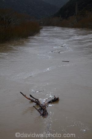 bad-weather;dead-tree;deluge;Dunedin;flood;flood-water;flood-waters;flooding;floods;floodwater;floodwaters;high-water;inundate;N.Z.;New-Zealand;NZ;on-flood;Otago;Outram;Outram-Glen;river;rivers;S.I.;SI;South-Is.;South-Island;swollen-river;Taieri;Taieri-Plains;Taieri-River;tree;trees;weather;wet