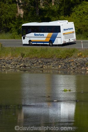 bus;buses;calm;coach;coaches;cruise-ship-bus;cruise-ship-buses;Dunedin;motorbus;motorbuses;N.Z.;New-Zealand;Newtons;Newtons-Buses;Newtons-Coach-Lines;NZ;omnibus;omnibuses;Otago;Otago-Harbour;passenger-bus;passenger-buses;passenger-coach;passenger-coaches;passenger-transport;placid;Port-Chalmers;Pt-Chalmers;public-transport;public-transportation;quiet;Ravensbourne-Rd;Ravensbourne-Road;reflected;reflection;reflections;S.I.;serene;SI;smooth;South-Is;South-Is.;South-Island;St-Leonards;Sth-Is;still;street-scene;street-scenes;tour-bus;tour-buses;tourist-bus;tourist-buses;tranquil;transportation;water
