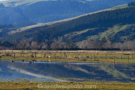 agricultural;agriculture;calm;country;countryside;Dunedin;farm;farming;farmland;farms;field;fields;Henley;meadow;meadows;N.Z.;New-Zealand;NZ;Otago;paddock;paddocks;pasture;pastures;placid;quiet;reflected;reflection;reflections;rural;S.I.;serene;SI;smooth;South-Is;South-Island;still;Taieri-Plain;Taieri-Plains;tranquil;water