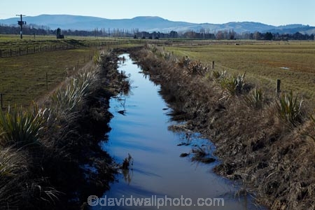 agricultural;agriculture;brook;brooks;country;countryside;creek;creeks;drain;drainage-channel;drainage-channels;drainage-ditch;drainage-ditches;drains;Dunedin;farm;farming;farmland;farms;field;fields;meadow;meadows;N.Z.;New-Zealand;NZ;Otago;paddock;paddocks;pasture;pastures;planted-riparian-strip;riparian-area;riparian-areas;riparian-buffer;riparian-buffer-zone;riparian-buffer-zones;riparian-buffers;riparian-strip;riparian-strips;riparian-zone;riparian-zones;rural;S.I.;SI;South-Is;South-Island;stream;streams;Taieri-Plain;Taieri-Plains;water;watercourse;watercouses;waterway;waterways