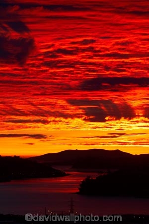 break-of-day;calm;cloud;clouds;coast;coastal;coastline;coastlines;coasts;dawn;dawning;daybreak;Dunedin;first-light;harbor;harbors;harbour;harbours;morning;N.Z.;New-Zealand;NZ;ocean;oceans;orange;Otago;Otago-harbor;Otago-Harbour;Otago-Peninsula;S.I.;sea;serene;shore;shoreline;shorelines;shores;SI;skies;sky;smooth;South-Is;South-Is.;South-Island;Sth-Is;still;sunrise;sunrises;sunup;tranquil;twilight;water