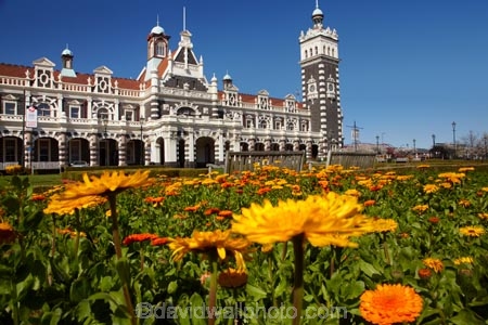 1906;architectural;architecture;bloom;blooming;blooms;building;buildings;clock;clock-tower;clock-towers;color;colorful;colors;colour;colourful;colours;council-gardens;Dunedin;Dunedin-Railway-Station;Flemish-Renaissance-style;floral;flower;flower-bed;flower-beds;flower-garden;flower-gardens;flowers;fresh;garden;gardens;George-A-Troup;Gingerbread-George;grow;growth;heritage;Historic;historic-building;historic-buildings;historical;historical-building;historical-buildings;history;N.Z.;New-Zealand;NZ;old;orange;Otago;rail-station;rail-stations;railroad;railroads;railway;railway-station;railway-stations;railways;renew;roof;rooves;S.I.;season;seasonal;seasons;SI;South-Is;South-Is.;South-Island;spring;Spring-Flowers;springtime;Sth-Is;tradition;traditional;train-station;train-stations;transport;transportation;yellow