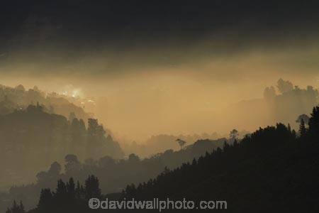 Botanic-Garden;Botanic-Gardens;Botanical-Garden;Botanical-Gardens;Dunedin;Dunedin-Botanic-Garden;Dunedin-Botanic-Gardens;Dunedin-Botanical-Garden;Dunedin-Botanical-Gardens;Dunedin-Gardens;Dunedin-North;fog;foggy;fogs;Leith-Valley;light;mist;mists;misty;N.Z.;New-Zealand;North-Dunedin;Opoho;Otago;S.I.;SI;South-Is;South-Island;Sth-Is;sunlight;tones