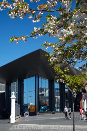 blossom;blossoms;Dunedin;museum;museums;N.Z.;New-Zealand;NZ;Otago;Otago-Settlers-Museum;S.I.;season;seasonal;seasons;SI;South-Is;South-Is.;South-Island;spring;spring-time;spring_time;springtime;Sth-Is;Toitu;Toitu-Otago-Settlers-Museum