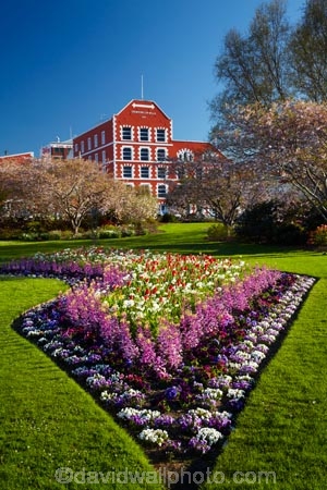 1867;1890;bloom;blooming;blooms;blooning;building;buildings;Crown-Mills-Building;Crown-Roller-Mills;Dunedin;floral;flower;flower-bed;flower-beds;flower-garden;flower-gardens;flowers;garden;gardens;heritage;historic;historic-building;historic-buildings;historical;historical-building;historical-buildings;history;N.Z.;New-Zealand;NZ;old;Otago;public-flower-garden;public-garden;public-gardens;S.I.;season;seasonal;seasons;SI;South-Is;South-Island;spring;spring-time;spring_time;springtime;Sth-Is;tradition;traditional