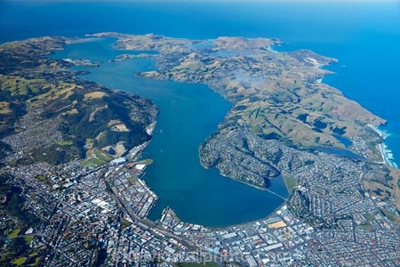 aerial;aerial-image;aerial-images;aerial-photo;aerial-photograph;aerial-photographs;aerial-photography;aerial-photos;aerial-view;aerial-views;aerials;coast;coastal;coastline;coastlines;coasts;communities;community;Dunedin;Dunedin-harbour;harbor;harbors;harbour;harbours;home;homes;house;houses;housing;N.Z.;neigborhood;neigbourhood;New-Zealand;NZ;ocean;oceans;Otago;Otago-Harbor;Otago-Harbour;Otago-Peninsula;residences;residential;residential-housing;S.I.;sea;seas;shore;shoreline;shorelines;shores;South-Dunedin;South-Is;South-Island;Sth-Is;street;streets;suburb;suburban;suburbia;suburbs;urban;water