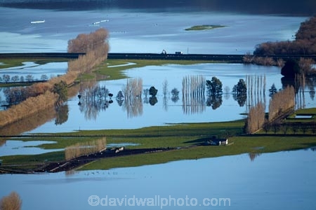 agricultural;agriculture;Allanton;bad-weather;country;countryside;crop;crops;deluge;Dunedin;extreme-weather;farm;farming;farmland;farms;field;fields;flood;flood-water;flood-waters;flooded-Taieri-River;flooding;floods;floodwater;floodwaters;high-water;horticulture;inundate;meadow;meadows;Mosgiel;N.Z.;New-Zealand;NZ;on-flood;Otago;paddock;paddocks;pasture;pastures;river;rivers;rural;S.I.;shelter-belt;shelter-belts;shelter_belt;shelter_belts;shelterbelt;shelterbelts;SI;South-Is;South-Is.;South-Island;Sth-Is;swollen-river;Taieri;Taieri-Plain;Taieri-Plains;Taieri-River;Taieri-River-in-flood;water;weather;wet;wind-break;wind-breaks;wind_break;wind_breaks;windbreak;windbreaks;winter;wintery