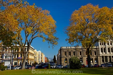 autuminal;autumn;autumn-colour;autumn-colours;autumnal;building;buildings;color;colors;colour;colours;deciduous;Dunedin;fall;gold;golden;heritage;historic;historic-building;historic-buildings;historical;historical-building;historical-buildings;history;leaf;leaves;N.Z.;New-Zealand;NZ;old;Otago;Queens-Gardens;Queens-Gardens;season;seasonal;seasons;South-Is;South-Island;Sth-Is;tradition;traditional;tree;trees;Vogel-St;Vogel-Street;yellow