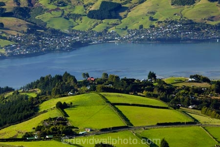 agricultural;agriculture;country;countryside;Dunedin;farm;farming;farmland;farms;field;fields;Martins-Hill;meadow;meadows;N.Z.;New-Zealand;NZ;Otago;Otago-Harbor;Otago-Harbour;Otago-Peninsula;paddock;paddocks;pasture;pastures;rural;shelter-belt;shelter-belts;shelter_belt;shelter_belts;shelterbelt;shelterbelts;South-Is;South-Island;Sth-Is;Upper-Junction;wind-break;wind-breaks;wind_break;wind_breaks;windbreak;windbreaks