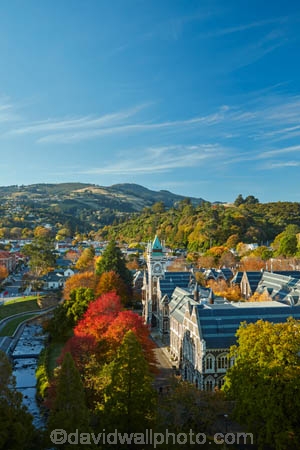 autuminal;autumn;autumn-colour;autumn-colours;autumnal;building;buildings;campus;clock-tower;clock_tower;color;colors;colour;colours;deciduous;Dunedin;fall;gold;golden;heritage;historic;historic-building;historic-buildings;historical;historical-building;historical-buildings;history;leaf;leaves;N.Z.;New-Zealand;NZ;oak-leaf;oak-leaves;oak-tree;oak-trees;oaks;old;Otago;Otago-University;pin-oak;pin-oaks;registry-building;S.I.;season;seasonal;seasons;SI;South-Is;South-Is.;South-Island;Sth-Is;tradition;traditional;tree;trees;universities;university;University-of-Otago;yellow