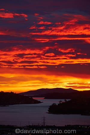 break-of-day;cloud;clouds;coast;coastal;coastline;coastlines;coasts;dawn;dawning;daybreak;Dunedin;first-light;harbor;harbors;harbour;harbours;morning;N.Z.;New-Zealand;NZ;ocean;oceans;orange;Otago;Otago-harbor;Otago-Harbour;Otago-Peninsula;S.I.;sea;shore;shoreline;shorelines;shores;SI;skies;sky;South-Is;South-Is.;South-Island;Sth-Is;sunrise;sunrises;sunup;twilight;water