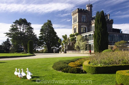 architecture;building;buildings;castle;castles;duck;ducks;Dunedin;fountain;fountains;geese;goose;grand;historic;historical;history;Larnach-Castle;larnachs-castle;larnachs-castle;manor;New-Zealand;old;otago-peninslar;Otago-Peninsula;South-Island
