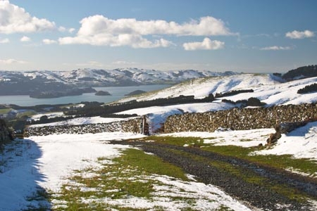 agricultural;agriculture;cold;country;countryside;dry-stone-wall;Dunedin;farm;farming;farmland;farms;field;fields;freeze;freezing;historic;historical;meadow;meadows;New-Zealand;Old-stone-wall;otago-harbor;otago-harbour;Otago-Peninsula;paddock;paddocks;pasture;pastures;rural;season;seasonal;seasons;snow;snowing;snowy;South-Island;white;winter