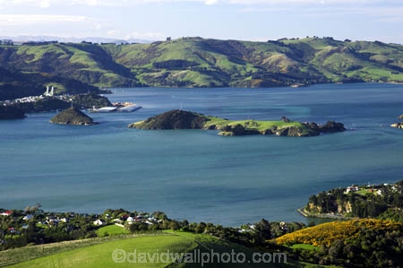 agricultural;agriculture;country;countryside;dunedin;farm;farming;farmland;farms;field;fields;grazing;harbor;harbours;horticulture;meadow;meadows;new-zealand;otago-harbor;otago-harbour;otago-peninsula;paddock;paddocks;pasture;pastures;rural;scenary;scenery;scenic;sheep;south-island;view