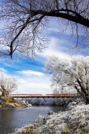 beautiful;bridge;bridges;calm;calmness;clean;clear;cold;Coldness;Color;Colour;Daytime;Exterior;freeze;freezing;freezing-fog;frost;Frosted;frosty;grass;grasses;heritage;high-country;historic;Historic-Suspension-Bridge;historical;history;hoar-frost;Hoarfrost;ice;ice-crystals;icy;idyllic;Landscape;Landscapes;natural;Nature;new-zealand;old;Otago;Outdoor;Outdoors;Outside;peaceful;Peacefulness;phenomena;phenomenon;pure;Quiet;Quietness;rime;river;river-bank;riverbank;rivers;rustic;Scenic;Scenics;Season;Seasons;silence;south-island;spectacular;stone;strath-taieri;stunning;suspension-bridges;sutton;taieri-River;tranquil;tranquility;tree;trees;view;water;weather;White;willow;willows;winter;Wintertime;wintery;wintry