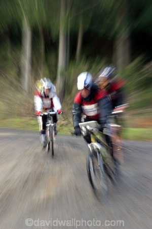 Berwick-Forest;Southern-Traverse;Southern-Traverse-2003;Southern-Traverse-Adventure-Race;Dunedin;Otago;New-Zealand;Team-Omnigraphics;Omnigraphics;Sponsor;Sponsored;athlete;athletes;endure;endurance;stamina;challenge;effort;marathon;long-distance;long_distance;team;teams;team-member;team-members;team_member;team_members;compete;competing;competition;competitor;competitors;race;racing;cycle;cycling;cyclist;cyclists;bicycle;bicycles;bike;biking;biker;bikers;mountain-bike;mountain-bikes;mountain-biker;mountain-bikers;helmet;helmets;pedal;pedals;pedaling;pedalling;road;roads;gravel;fast;speed;speedy;zoom;zooming;blur;forestry