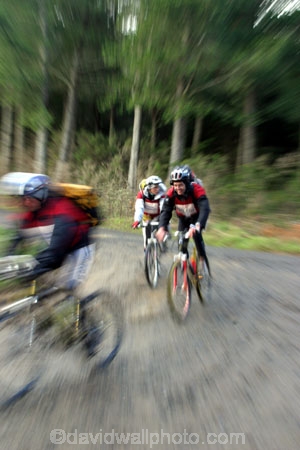 Berwick-Forest;Southern-Traverse;Southern-Traverse-2003;Southern-Traverse-Adventure-Race;Dunedin;Otago;New-Zealand;Team-Omnigraphics;Omnigraphics;Sponsor;Sponsored;athlete;athletes;endure;endurance;stamina;challenge;effort;marathon;long-distance;long_distance;team;teams;team-member;team-members;team_member;team_members;compete;competing;competition;competitor;competitors;race;racing;cycle;cycling;cyclist;cyclists;bicycle;bicycles;bike;biking;biker;bikers;mountain-bike;mountain-bikes;mountain-biker;mountain-bikers;helmet;helmets;pedal;pedals;pedaling;pedalling;road;roads;gravel;fast;speed;speedy;zoom;zooming;blur;forestry