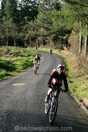 Berwick-Forest;Southern-Traverse;Southern-Traverse-2003;Southern-Traverse-Adventure-Race;Dunedin;Otago;New-Zealand;Team-Omnigraphics;Omnigraphics;Sponsor;Sponsored;athlete;athletes;endure;endurance;stamina;challenge;effort;marathon;long-distance;long_distance;team;teams;team-member;team-members;team_member;team_members;compete;competing;competition;competitor;competitors;race;racing;cycle;cycling;cyclist;cyclists;bicycle;bicycles;bike;biking;biker;bikers;mountain-bike;mountain-bikes;mountain-biker;mountain-bikers;helmet;helmets;pedal;pedals;pedaling;pedalling;road;roads;gravel;fast;speed;speedy;downhill;forest;forestry