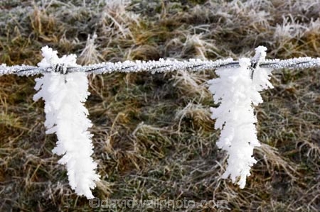 barb-wire;barbed-wire;beautiful;calm;calmness;clean;clear;cold;Coldness;Color;Colour;Daytime;Exterior;fence;fences;freeze;freezes;freezing;freezing-fog;frost;Frosted;frosty;frozen;high-country;hoar;hoar-frost;Hoarfrost;ice;ice-crystals;icy;idyllic;Landscape;Landscapes;natural;Nature;new-zealand;Otago;Outdoor;Outdoors;Outside;peaceful;Peacefulness;phenomena;phenomenon;pure;Quiet;Quietness;rime;Scenic;Scenics;Season;seasonal;Seasons;silence;South-Island;spectacular;stunning;sutton;tranquil;tranquility;view;water;weather;White;winter;Wintertime;wintery;wintry;wire;wires