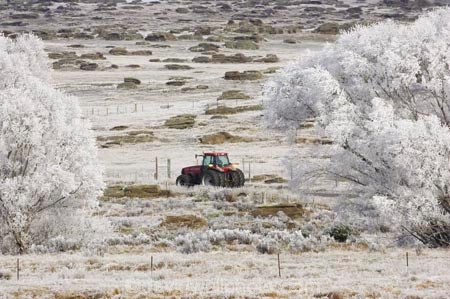agricultural;agriculture;beautiful;calm;calmness;clean;clear;cold;Coldness;Color;Colour;country;countryside;Daytime;Exterior;farm;farming;farmland;farms;field;fields;freeze;freezing;freezing-fog;frost;Frosted;frosty;high-country;hoar-frost;Hoarfrost;ice;ice-crystals;icy;idyllic;Landscape;Landscapes;meadow;meadows;natural;Nature;new-zealand;otago;Outdoor;Outdoors;Outside;paddock;paddocks;pasture;pastures;peaceful;Peacefulness;phenomena;phenomenon;pure;Quiet;Quietness;rime;rural;Scenic;Scenics;Season;Seasons;silence;south-island;spectacular;strath-taieri;stunning;sutton;tranquil;tranquility;tree;trees;view;water;weather;White;willow;willows;winter;Wintertime;wintery;wintry