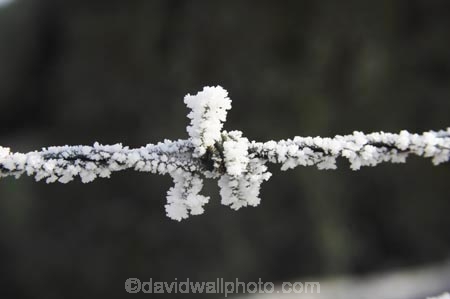 barb-wire;barbed-wire;beautiful;calm;calmness;clean;clear;cold;Coldness;Color;Colour;Daytime;Exterior;fence;fences;freeze;freezes;freezing;freezing-fog;frost;Frosted;frosty;frozen;high-country;hoar;hoar-frost;Hoarfrost;ice;ice-crystals;icy;idyllic;Landscape;Landscapes;natural;Nature;new-zealand;Otago;Outdoor;Outdoors;Outside;peaceful;Peacefulness;phenomena;phenomenon;pure;Quiet;Quietness;rime;Scenic;Scenics;Season;seasonal;Seasons;silence;South-Island;spectacular;stunning;sutton;tranquil;tranquility;view;water;weather;White;winter;Wintertime;wintery;wintry;wire;wires