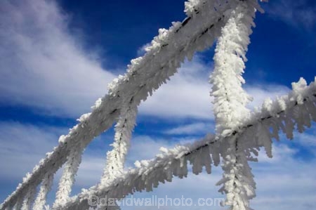 agricultural;agriculture;beautiful;calm;calmness;clean;clear;cold;Coldness;Color;Colour;country;countryside;Daytime;Exterior;farm;farming;farmland;farms;fence;fences;field;fields;freeze;freezes;freezing;freezing-fog;frost;Frosted;frosty;frozen;hexagon;hexagonal;high-country;hoar;hoar-frost;Hoarfrost;ice;ice-crystals;icy;idyllic;Landscape;Landscapes;meadow;meadows;natural;Nature;netting;new-zealand;Otago;Outdoor;Outdoors;Outside;paddock;paddocks;pasture;pastures;phenomena;phenomenon;rime;rural;Scenic;Scenics;season;seasonal;seasons;South-Island;spectacular;stunning;sutton;weather;White;winter;Wintertime;wintery;wintry;wire;wire-net;wire-netting;wires