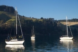 boat;boats;calm;calmness;Deborah-Bay;Dunedin;harbor;harbors;harbour;harbours;hull;hulls;launch;launches;marina;marinas;mast;masts;Moored-Yachts;N.Z.;New-Zealand;NZ;Otago;Otago-Harbor;Otago-Harbour;peaceful;peacefulness;placid;port;ports;quiet;reflection;reflections;S.I.;sail;sailing;serene;SI;smooth;South-Is.;South-Island;still;stillness;tranquil;tranquility;water;yacht;yachts