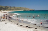 beach;beaches;coast;coastal;coastline;crowd;crowds;Dunedin;fun;hot;leisure;N.Z.;New-Zealand;NZ;ocean;oceans;Otago;people;play;S.I.;Saint-Clear-Beach;sand;sandy;sea;seas;shore;shoreline;SI;South-Is.;South-Island;St-Clair-Beach;St.-Clair-Beach;summer;summertime;swimmers;swimming