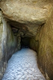 cave;cavern;caverns;caves;coast;coastal;coastal-erosion;coastline;coastlines;coasts;Dunedin;geological;geology;grotto;grottos;littoral-cave;littoral-caves;N.Z.;New-Zealand;NZ;Otago;rock;rock-formation;rock-formations;S.I.;sandstone;sea-cave;sea-caves;SI;South-Is;South-Is.;South-Island;Tunnel-Beach