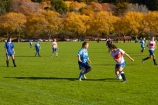 autuminal;autumn;autumn-colour;autumn-colours;autumnal;color;colors;colour;colours;deciduous;Dunedin;fall;female;fooball;game;games;girl;girls;Girls-football;girls-soccer;green;leaf;leaves;N.Z.;New-Zealand;NZ;Otago;Oval;people;person;play;playing;S.I.;season;seasonal;seasons;SI;soccer;South-Is;South-Island;sport;sports;Sth-Is;teenager;teenagers;The-Oval;tree;trees;women;yellow