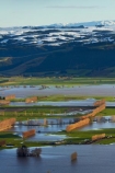 agricultural;agriculture;Allanton;bad-weather;country;countryside;crop;crops;deluge;Dunedin;extreme-weather;farm;farming;farmland;farms;field;fields;flood;flood-water;flood-waters;flooded-Taieri-River;flooding;floods;floodwater;floodwaters;high-water;horticulture;inundate;Maungatua;Maungatuas;meadow;meadows;Mosgiel;N.Z.;New-Zealand;NZ;on-flood;Otago;paddock;paddocks;pasture;pastures;river;rivers;rural;S.I.;shelter-belt;shelter-belts;shelter_belt;shelter_belts;shelterbelt;shelterbelts;SI;South-Is;South-Is.;South-Island;Sth-Is;swollen-river;Taieri;Taieri-Plain;Taieri-Plains;Taieri-River;Taieri-River-in-flood;The-Maungatua-Range;The-Maungatuas;water;weather;wet;wind-break;wind-breaks;wind_break;wind_breaks;windbreak;windbreaks;winter;wintery