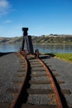 art;art-work;art-works;Dog-sculpture;Dunedin;Kuri-sculpture;KuriDog-sculpture;N.Z.;New-Zealand;Otago;Otago-Boat-Harbour-Reserve;Otago-Harbor;Otago-Harbour;public-art;public-art-work;public-art-works;public-sculpture;public-sculptures;rail-line;rail-lines;rail-track;rail-tracks;railroad;railroads;railway;railway-line;railway-lines;railway-track;railway-tracks;railways;S.I.;sculptor-Stephen-Mulqueen;sculpture;sculptures;SI;South-Is;South-Island;Statue;statues;Sth-Is;track;tracks;train-track;train-tracks;transport;transportation
