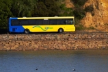 bus;buses;Citibus;Citybus;coach;coaches;Dunedin;motorbus;motorbuses;N.Z.;New-Zealand;omnibus;omnibuses;Otago;Otago-Harbor;Otago-Harbour;Otago-Peninsula;passenger-bus;passenger-buses;passenger-coach;passenger-coaches;passenger-transport;Portobello;public-transport;public-transportation;S.I.;SI;South-Is;South-Island;Sth-Is;street-scene;street-scenes;tour-bus;tour-buses;transportation