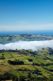 agricultural;agriculture;country;countryside;Dunedin;farm;farming;farmland;farms;field;fields;fog;foggy;fogs;Martins-Hill;meadow;meadows;mist;mists;misty;morning;N.Z.;New-Zealand;NZ;Otago;Otago-Harbor;Otago-Harbour;Otago-Peninsula;paddock;paddocks;pasture;pastures;rural;shelter-belt;shelter-belts;shelter_belt;shelter_belts;shelterbelt;shelterbelts;South-Is;South-Island;Sth-Is;Upper-Junction;weather;wind-break;wind-breaks;wind_break;wind_breaks;windbreak;windbreaks